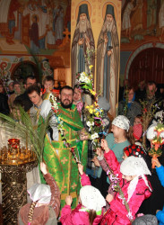 jarek 
Palm Sunday in Zwierki Convent 3 
2015-04-05 14:44:01