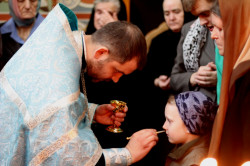 jarek 
Soborowanije in Zwierki Convent 1 
2015-04-12 17:54:44
