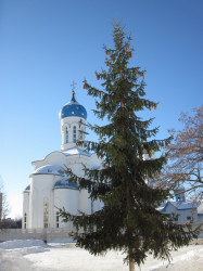 dziatishka 
Зіма. 
2015-05-10 12:25:00