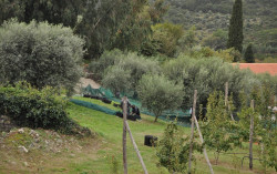 bogdan 
Ιερά Μονή ΒΑΤΟΠΕΔΙΟΥ - Holy Monastery of VATOPEDION - Монастырь Ватопед 2014 (8) 
2015-05-20 15:14:57