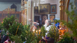 alik 
Palm Sunday 
2015-05-29 12:04:03