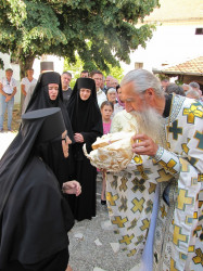 maksim 
Христос је међу нама! 
2015-07-08 20:09:08