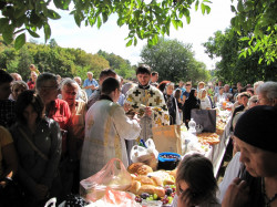 maksim 
Благосиљање плодова 
2015-08-19 17:56:36