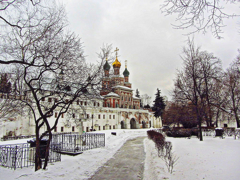 Winter lace    Зимнее кружево