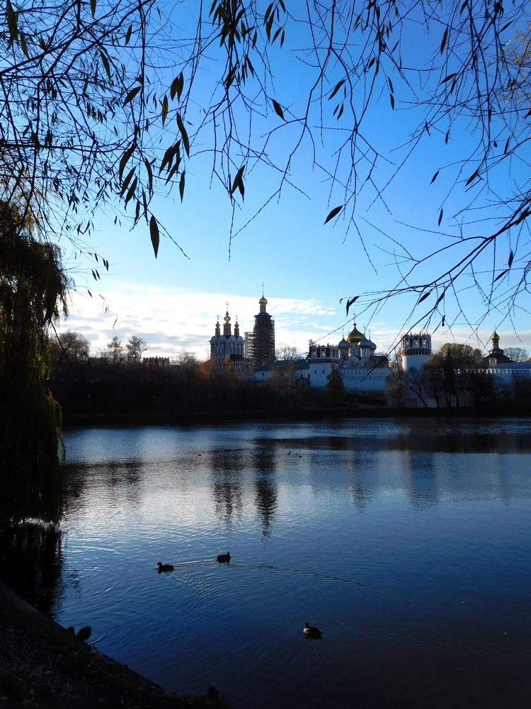 Novodevichy Monastery in Moscow