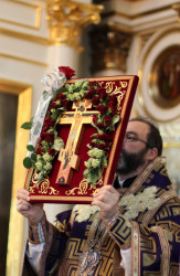 jarek1 
Archbishop Jakob elevating Holy Cross 
2016-01-17 21:18:02