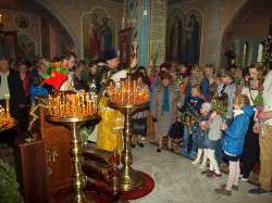 szolucha.w 
Niedziela palmowa 
2016-04-24 15:09:11