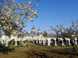 Mitrut Popoiu 
Holy Virgin&#039s monastery from Vladimirești 
2016-05-15 20:22:20