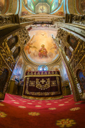 ioanalexro 
Carpet view 
2016-06-08 01:03:39