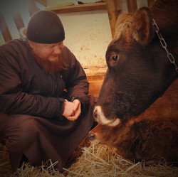 s.nektaria 
The bishop & newborn   
2017-01-23 15:18:39