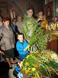 szolucha.w 
Niedzila palmowa(2) 
2017-04-09 20:06:49