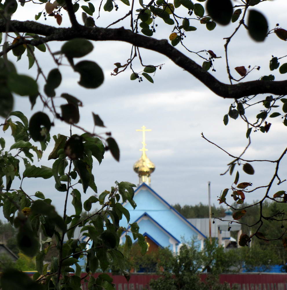 Свята-Пакроўская царква ў Бабічах.