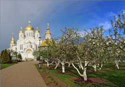 tolmargarita 
Цветущие сады Дивеева 
2017-06-14 11:13:49