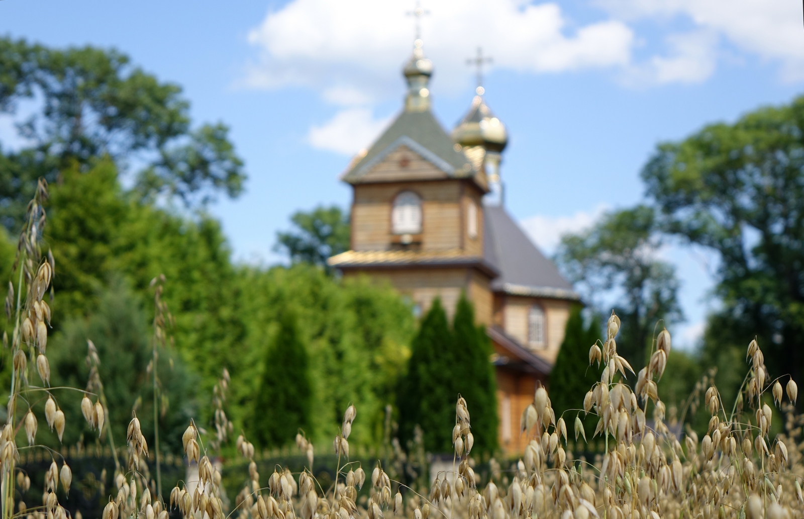 The Orthodox church in Anusin-Telatycze