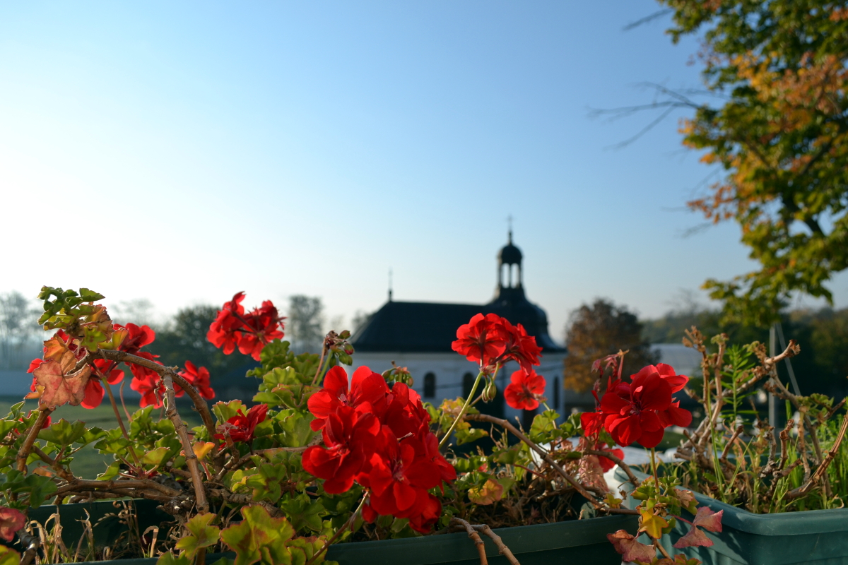 Манастир Фенек / Fenek Monastery