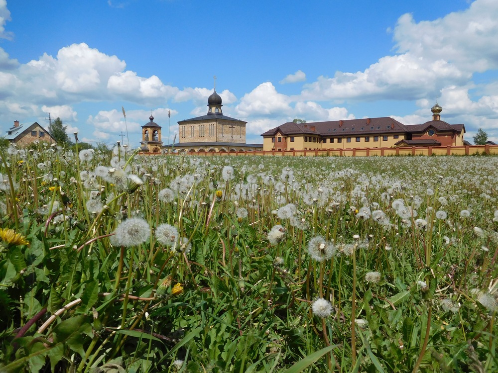 The Orthodox convent in Zwierki