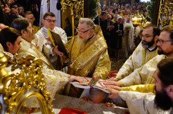 jarek1 
Bishop Warsonofiusz (Doroszkiewicz) ordination 
2017-10-09 14:42:52
