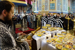 jarek11 
The feast of St. Theodore Tyrone in St. Nicholas Cathedral Białystok 
2018-02-23 12:29:23