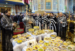 jarek11 
The feast of St. Theodore Tyrone in St. Nicholas Cathedral Białystok 
2018-02-23 12:29:43