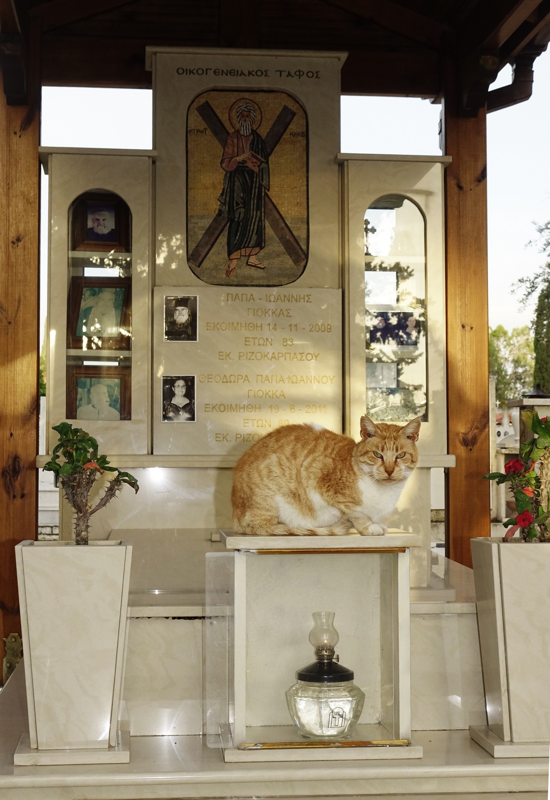 At cementary in Larnaca...