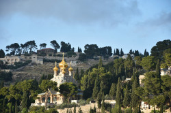 AM 
Russian Monastery  of St. Mary Magdalene - the Mount of Olives 
2018-07-10 23:43:52