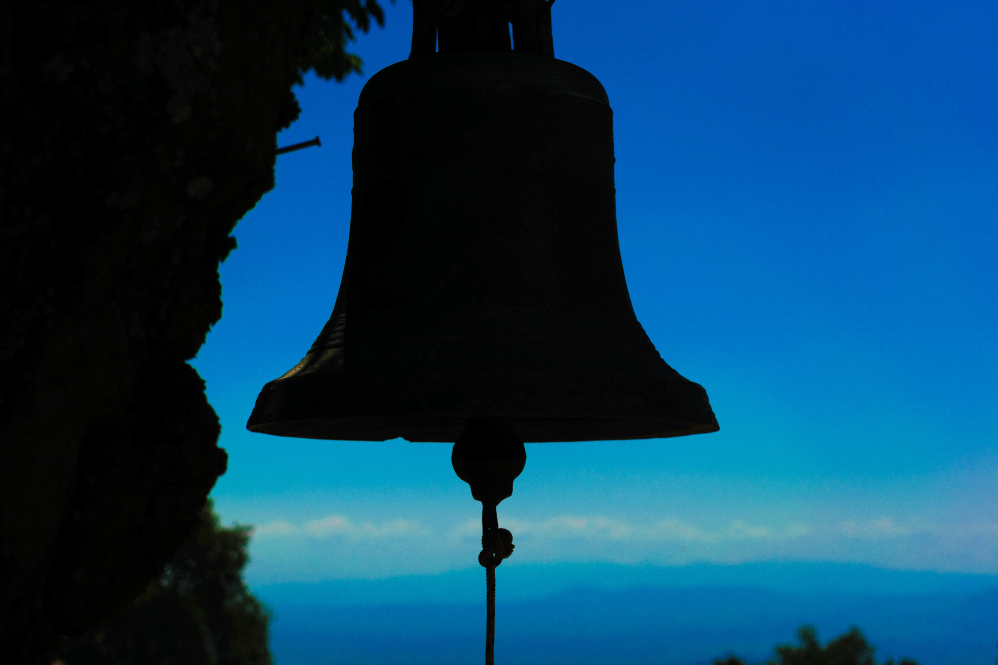 Bell looking over the hill