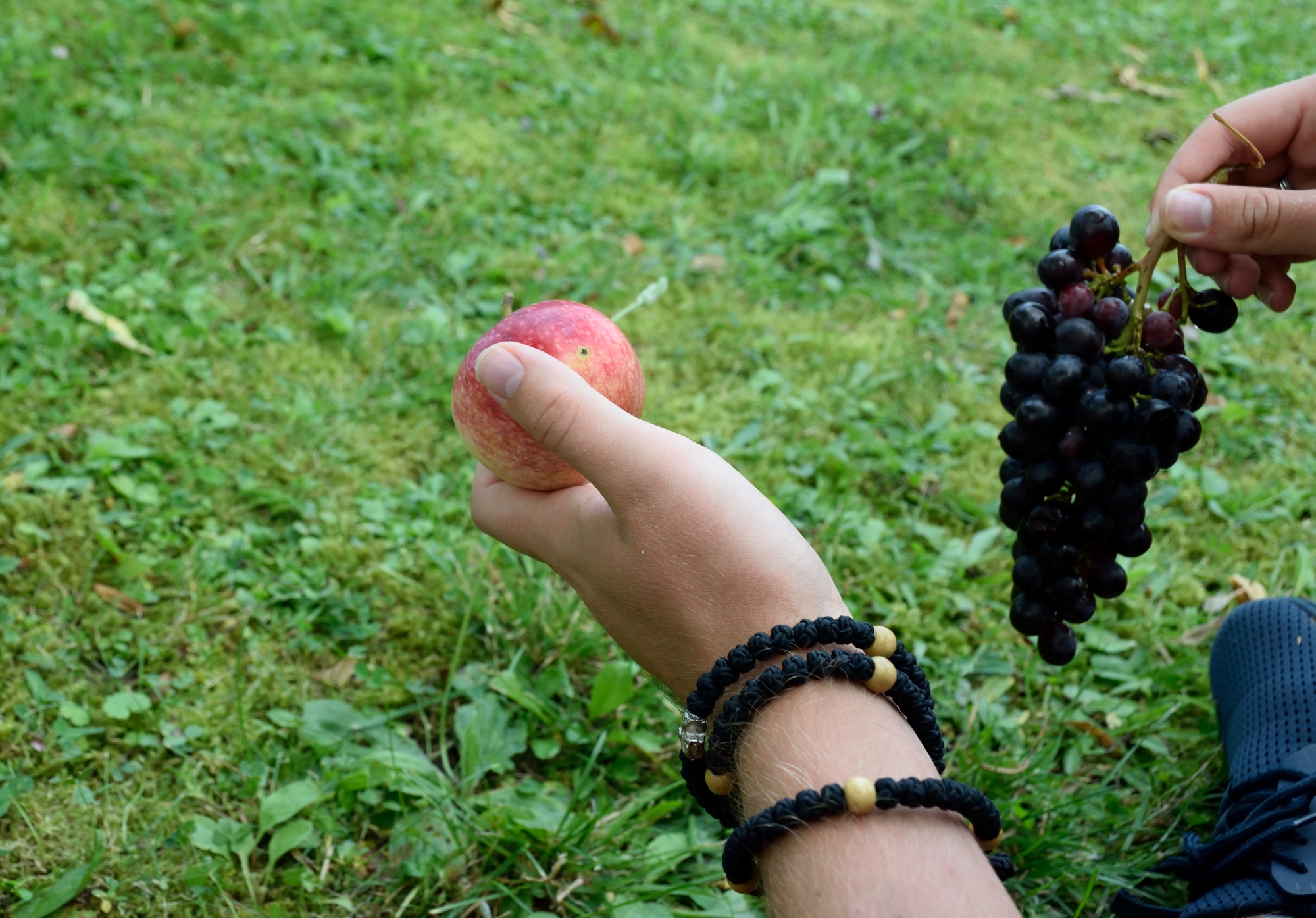 Transfiguration set: prayer rope, apple and grapes