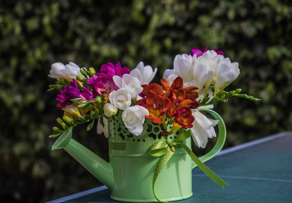 Flowers!