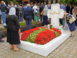 PedjaVid 
Гроб патријарха Павла / The grave of Patriarch Pavle 
2018-09-07 19:52:52