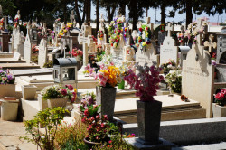 jarek1 
Orthodox cementary near Sotira 
2018-09-12 14:47:48