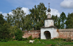 DmitryIvanov 
The Trinity Gate of the Rizopolozhensky Convent in Suzdal 
2018-11-25 20:55:16