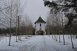 Florina 
Cobia Monastery, Dâmbovița County 
2019-01-06 20:50:32