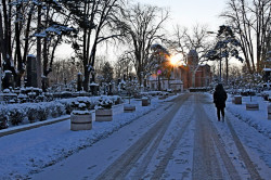 AleksaSrbin 
одлазак на литургију 
2019-01-07 21:08:39