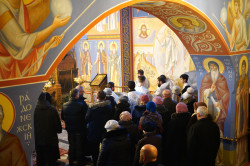 jarek1 
Epiphany Vigil in Supraśl Monastery 
2019-01-18 20:54:39