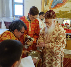 jarek11 
Archbishop Anastasios before Divine Liturgy in Ressurection of Christ Orthodox Cathedral in Tirana 
2019-03-10 15:10:02