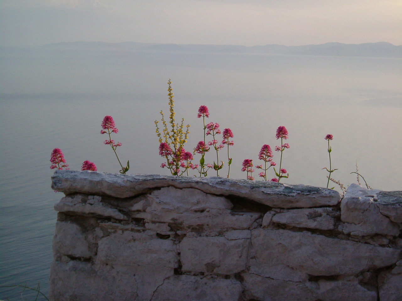 Mt. Athos 