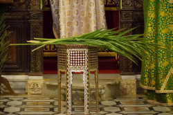 Sheep1389 
Blessing of palms - Balamand monastery 
2019-04-21 16:39:17