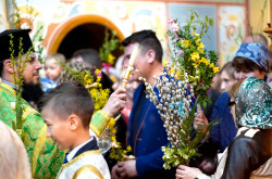 jarek 
Palm Sunday in Zwierki Convent 
2019-04-22 17:12:24