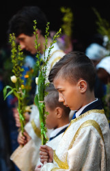 jarek 
Palm Sunday in Zwierki Convent 
2019-04-22 17:14:47