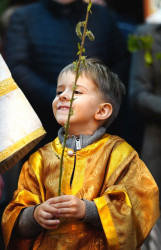 jarek 
Palm Sunday in Zwierki Convent  
2019-04-24 19:56:10