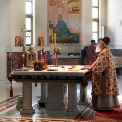 alik 
Abp Anastasios of Albania 
2019-06-12 09:42:23