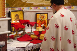jarek11 
The Divine Liturgy in Ressurestion of Christ Cathedral in Tirana 
0 
2020-02-01 15:04:35