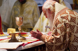 jarek11 
The Divine Liturgy in Ressurestion of Christ Cathedral in Tirana 
2020-02-01 15:05:09
