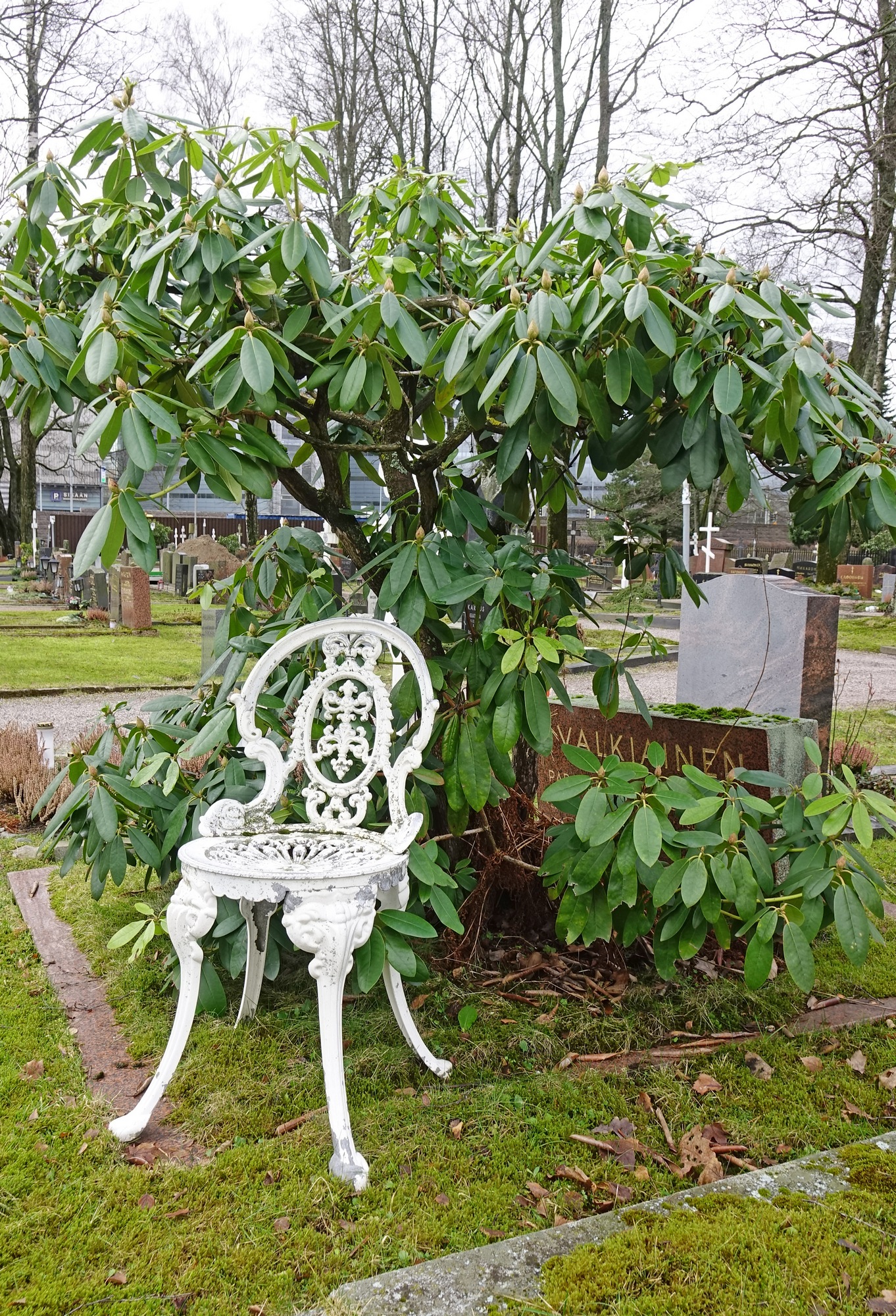 At the Orthodox cementary in Helsinki