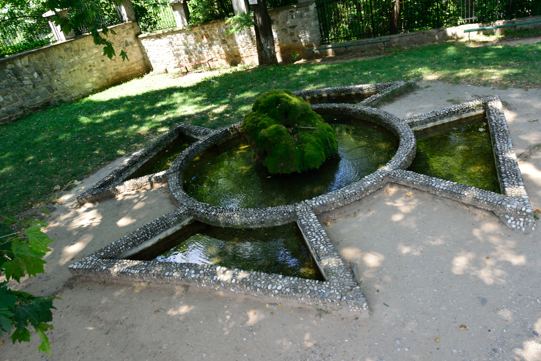 Krzak-krzyż w monasterze baczkowskim