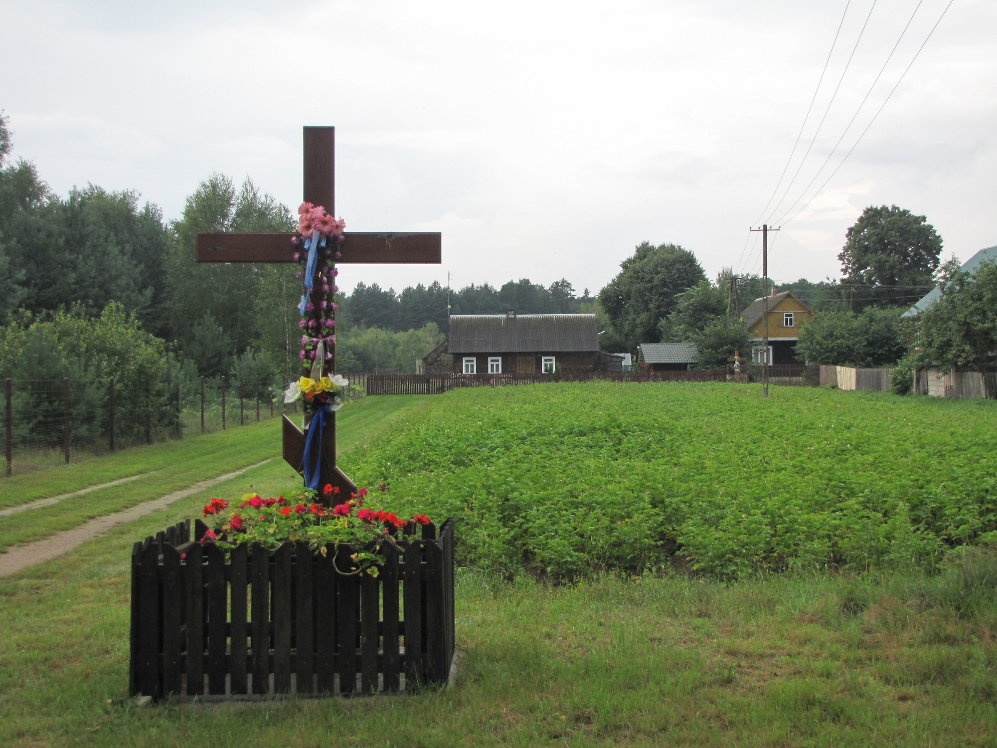 dwa drewniane krzyże - Zabagonie