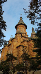 Mitrut Popoiu 
Metropolitan Cathedral from Timișoara by day 
2020-03-21 20:00:06