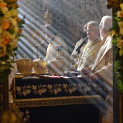 alik 
Feast at St Neophytos Monastery, near Paphos 
2020-05-17 10:34:43
