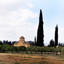 alik 
Somewhere on the way to Nicosia 
2020-06-13 12:07:20