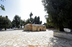 alik 
Agios Ermogenis, Episkopi 
2020-06-22 11:51:59